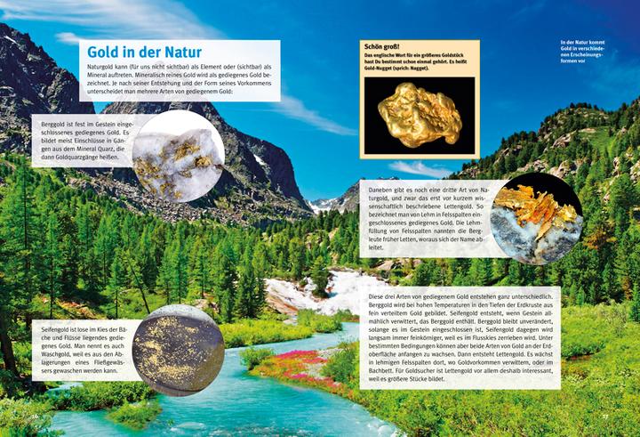 Produktbild Entdecke das Gold (Deutsch, Dr. Markus Schade, 2017)