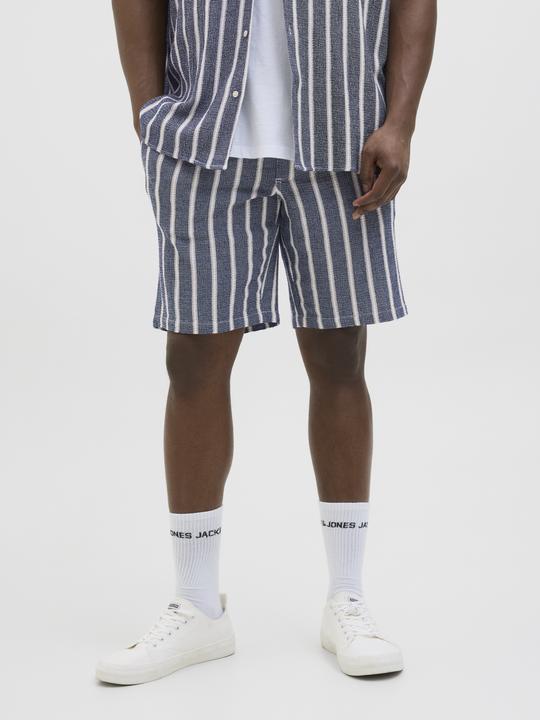 Produktbild Jack & Jones Jpstjaiden Coba Stripe Jog Short Sn Pls (44)