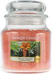 Actual product image Yankee Candle The Last Paradise (623 g)