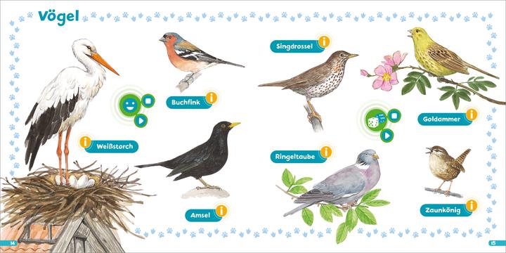 Image du produit Tessloff BOOKii® Hören und Staunen Mini Tiere (Allemand, Luis-Max/Döring, Hans-Günther/Lohr, Brandstetter, Stefan/, Johann/Anders, 2023)