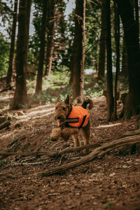 Produktbild Weatherbeeta Comfitec Reflektierender Parka 300D Hundemantel (30, Hundemantel)