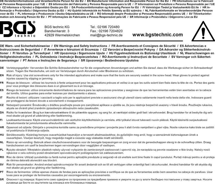 Immagine prodotto BGS Cacciavite Fessura 6 mm Lunghezza lama 100 mm (Porta)