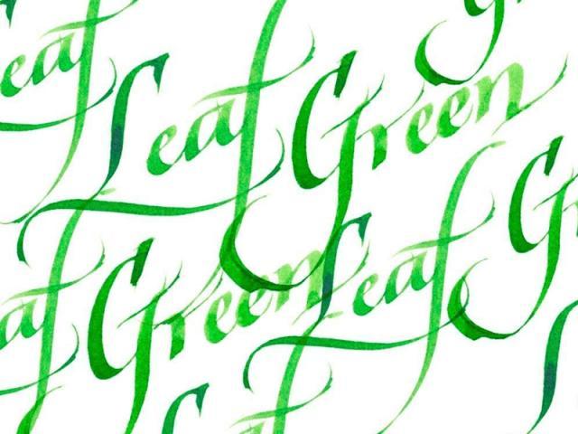 Immagine prodotto Winsor & Newton Foglia d'inchiostro calligrafico (Calamaio, Verde, 30 mm)