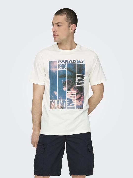 Immagine prodotto Only & Sons T-Shirt Magdy Life Kurzarmshirt (M)