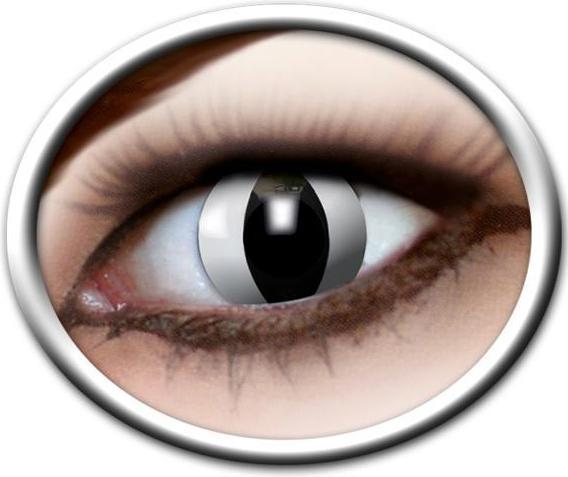 Actual product image Bach Optic Black contact lenses (Black)