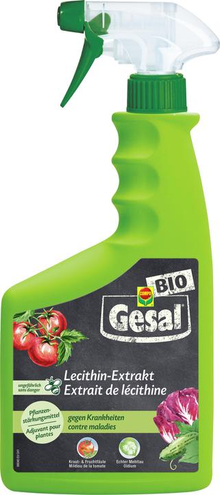 Actual product image Gesal Lecithin extract liq (Blight)