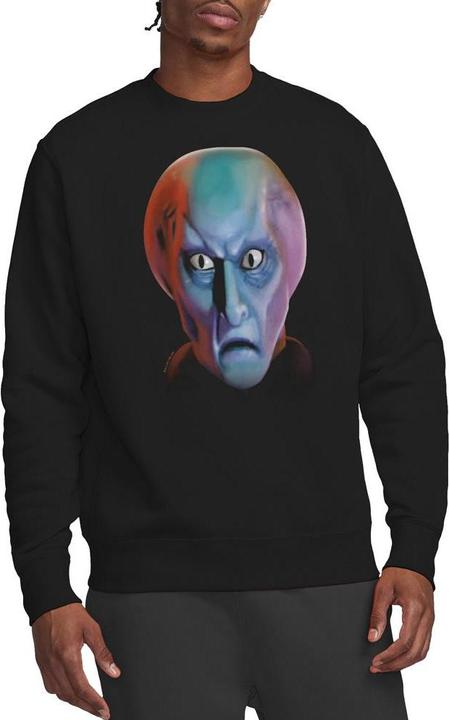 Produktbild Sweatshirt (L)