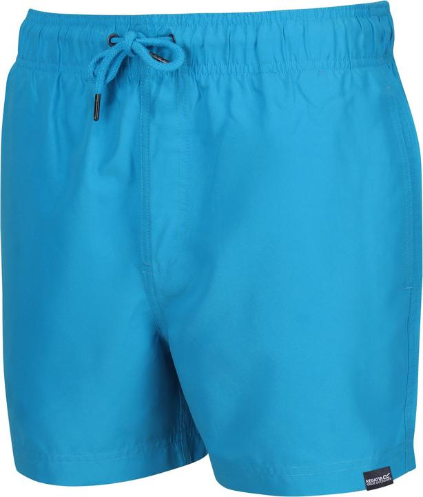 Actual product image Regatta Mens Mawson II Swim Shorts (XL)