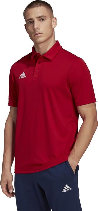 Image du produit adidas Polo Entrada 22 Hommes (XS)
