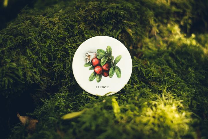 Produktbild Ninja Print Skogen (Memoryspel)