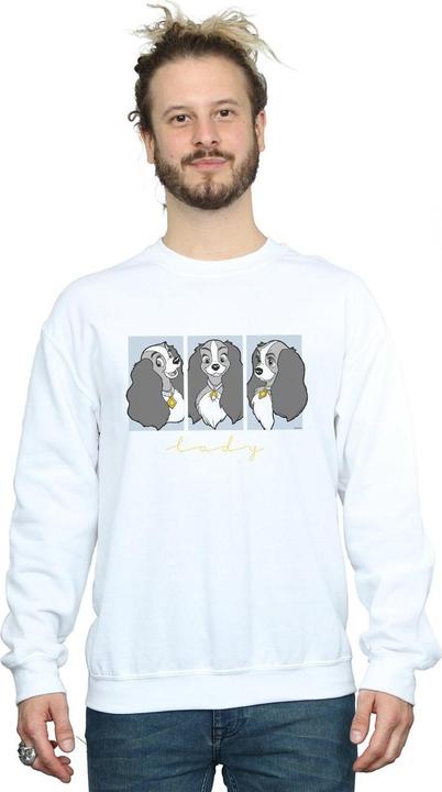 Immagine prodotto Disney Lady And The Tramp Lady Frames Felpa Uomo (XXL)