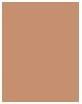 Immagine prodotto Dior Bronzo naturale per sempre (05 Bronzo caldo, Bronzer, 9 g)