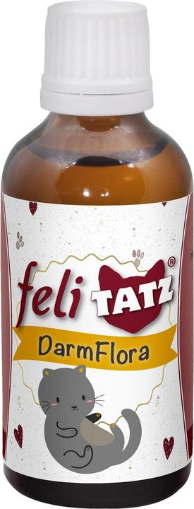 Actual product image cdVet Cat food supplement feliTATZ DarmFlora, 50 ml (Senior, Adult, Puppy + kitten, Junior, 1 pcs., 115 g)