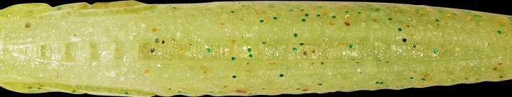 Immagine prodotto Caperlan 338857 (13 cm)