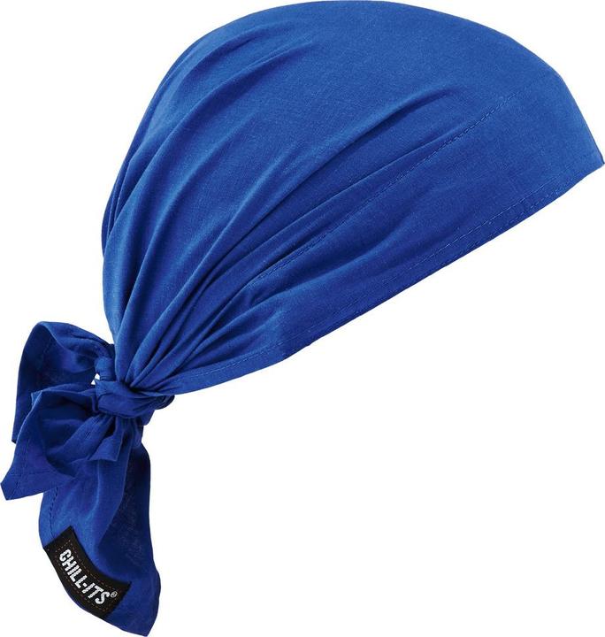 Produktbild Ergodyne Kühlendes Kopf-Dreiecktuch mit Kühltuch Chill-Its 6710CT, blau
