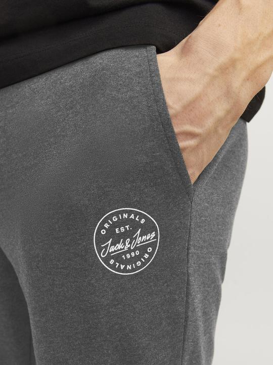 Image du produit Jack & Jones Gordon Sweathose (S)