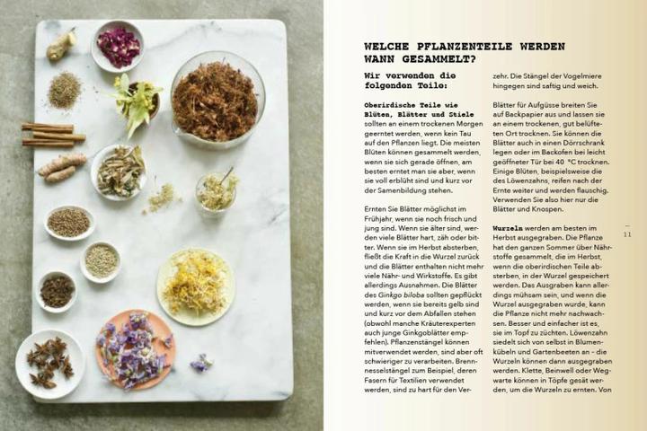 Produktbild Pflanzen als Medizin (Deutsch, Leoniek Bontje, 2022)