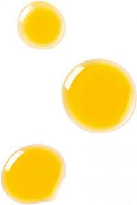 Produktbild Dr. Hauschka Gesichtsöl (18 ml)