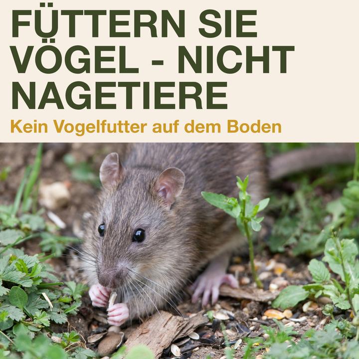 Immagine prodotto Swissinno Davos