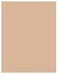 Actual product image Sensai Silky Bronze Natural Veil Compact (SC01 Léger)