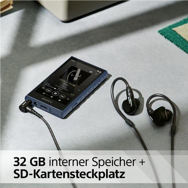 Immagine prodotto Sony NW-A306 (18 GB)