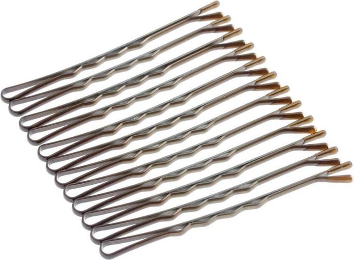Image du produit DailyGo Bobbypin (12 pcs)
