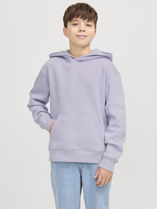 Produktbild Jack & Jones Jjestar Jj Sweat Hood Noos Jnr (140)