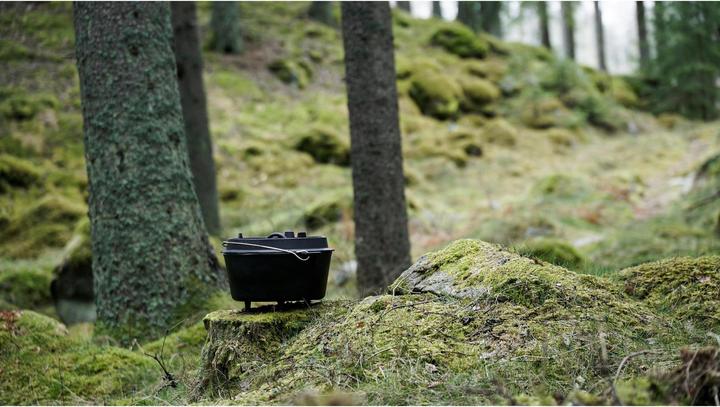 Actual product image Petromax Fire pot ft 12