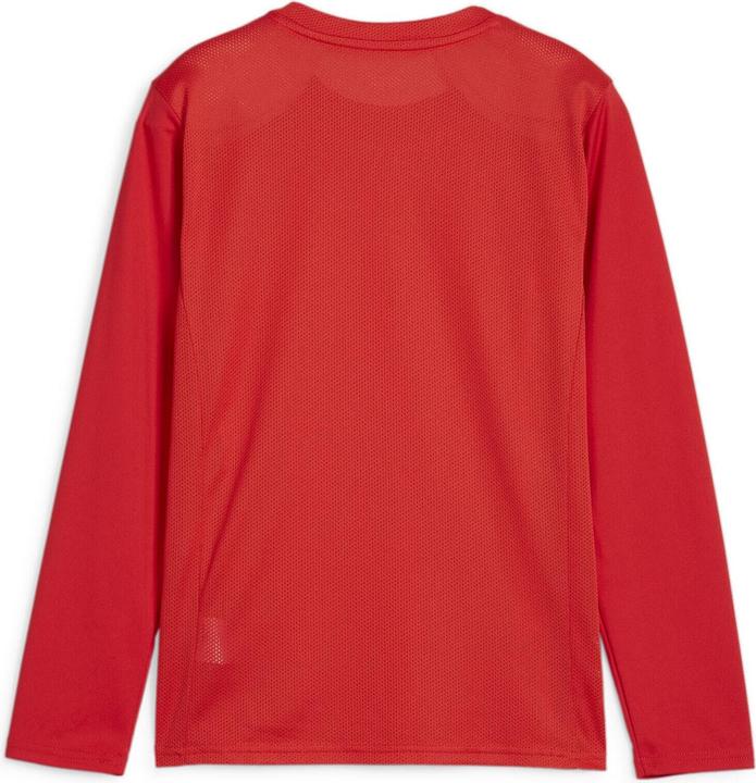 Immagine prodotto Puma Maglia TeamGOAL LS Jr (140)