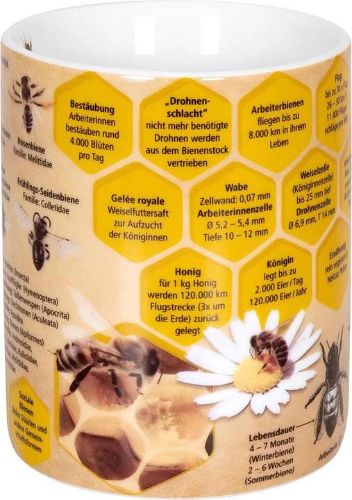 Immagine prodotto Könitz Tazza da caffè Knowledge Bee 490 ml, 1 pezzo, Multicolore (490 ml, 1 x)
