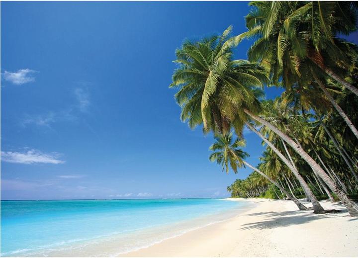 Image du produit Trenddeko Le paradis des plages (336 x 260 cm)