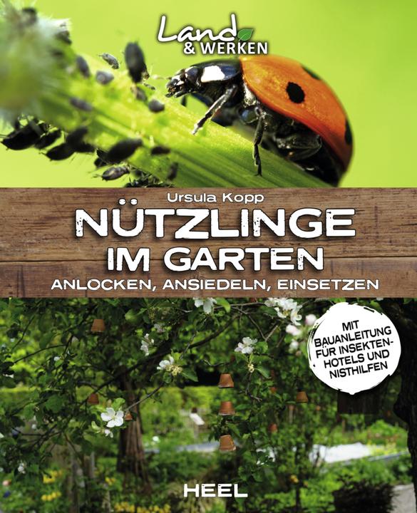 Produktbild Nützlinge im Garten – anlocken, ansiedeln, einsetzen (Deutsch, Ursula Kopp, 2019)