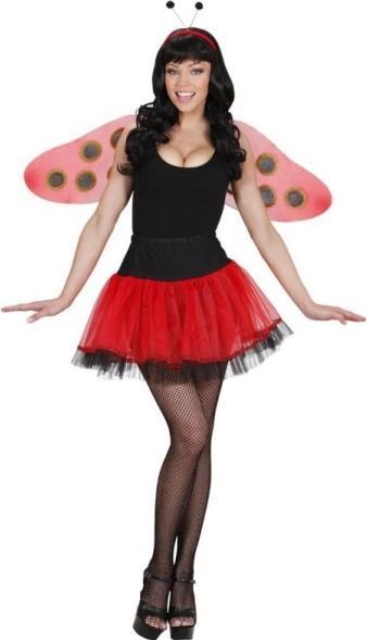 Image du produit Widmann Ensemble d'ailes de coccinelle 2 pièces - Costume de carnaval (Taille unique)