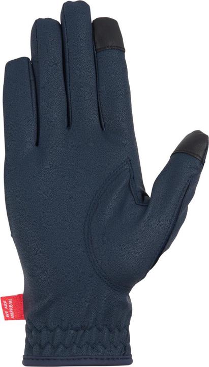 Actual product image Imperial Riding The Basics (XXL)