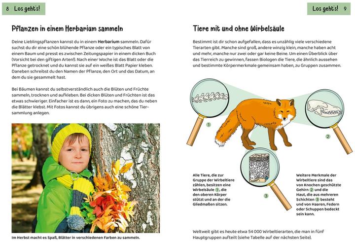 Produktbild Kosmos Tier- und Pflanzenführer. Kindernaturführer