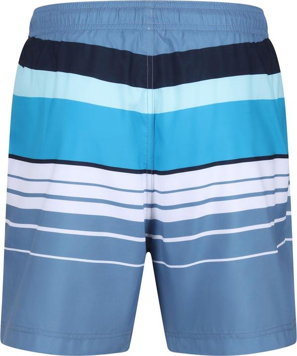 Actual product image Regatta Mens Loras Striped Swim Shorts (XL)