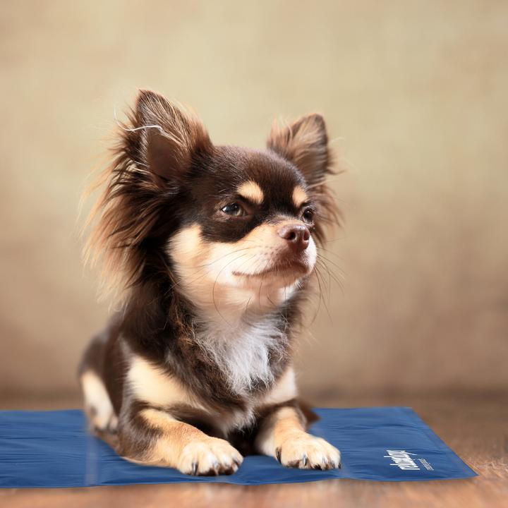 Produktbild Relaxdays Kühlmatte (Hund, Katze)