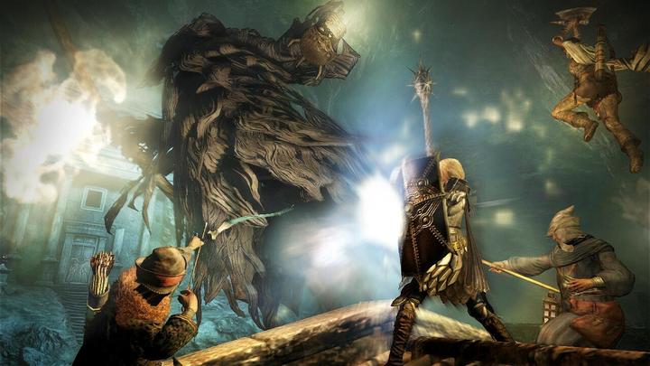 Image du produit Capcom Dragon's Dogma : Dark Arisen -US- (Switch, Switch Lite, Switch OLED, EN)
