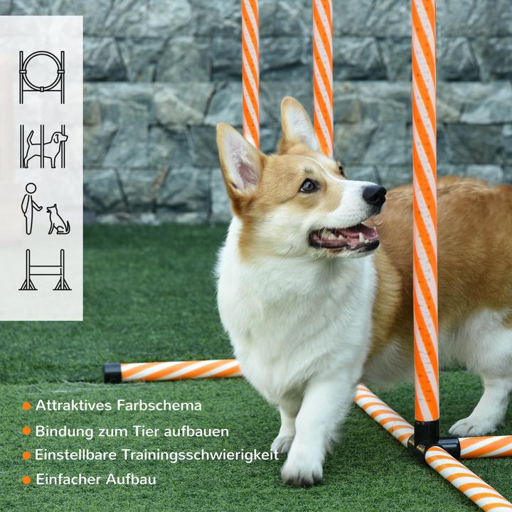 Actual product image PawHut Set (Agility)