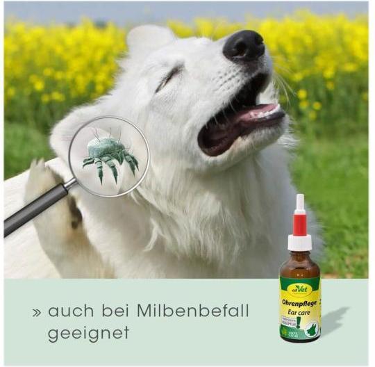 Actual product image cdVet Ear cleaner ear care, 20 ml (Dog, 20 ml)