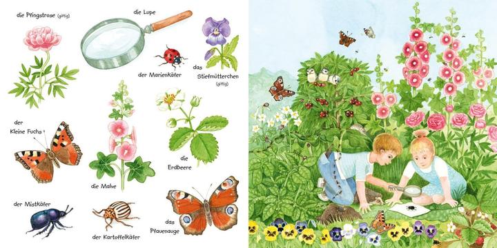 Actual product image My little colourful picture dictionary: crawling animals and flowers (German)