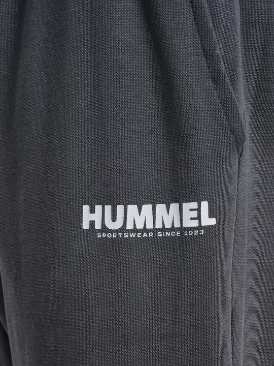 Produktbild hummel Hmllegacy Regular Pants Plus (XXL)