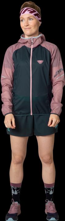 Produktbild Dynafit Alpine Wind Jacke (38, M)