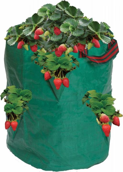 Produktbild Garland Erdbeeren und Kräuter Sack