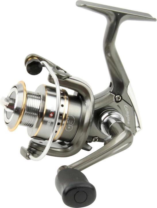 Stucki Fishing Coregone (500)