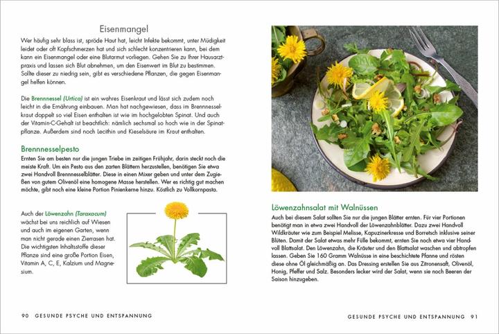 Image du produit Herbes et plantes médicinales pour les femmes : Thés, teintures et pommades issus de la médecine (Allemand, Larena Lambert, 2021)