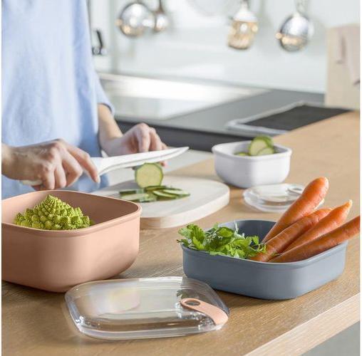 Actual product image Rotho Casserole dish Ela corner.1l rose (1 l)