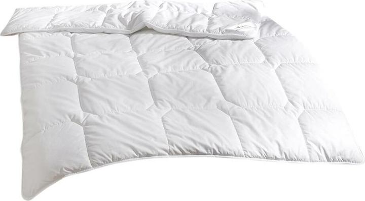 Produktbild Traumschlaf Thinsulate warm (1100 g, 135x200 cm)