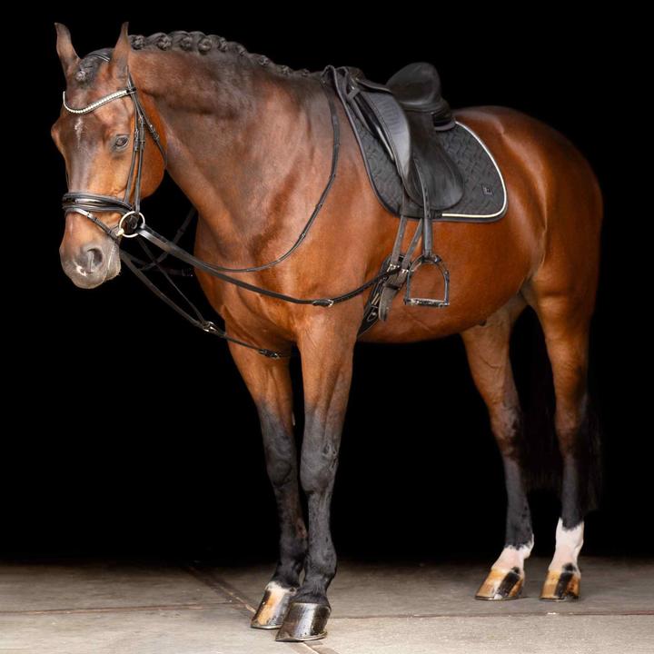 Actual product image Imperial Riding Core