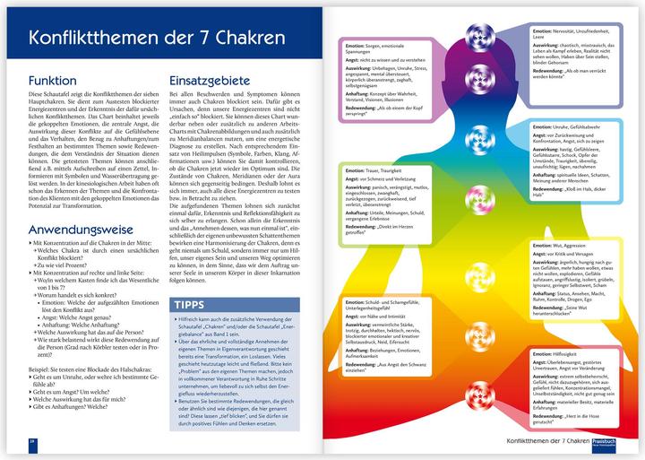Immagine prodotto Praxisbuch Neue Homöopathie. Band 2 (Tedesco, Roswitha Stark, Christina Baumann, 2024)
